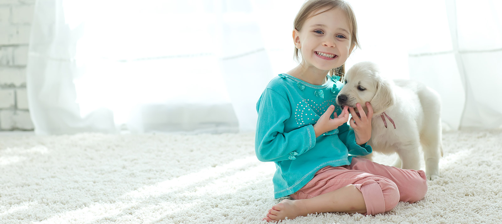 Carpet Cleaning | Boise Idaho | (208) 343-0833