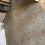 Carpet Cleaning | Boise Idaho | (208) 343-0833